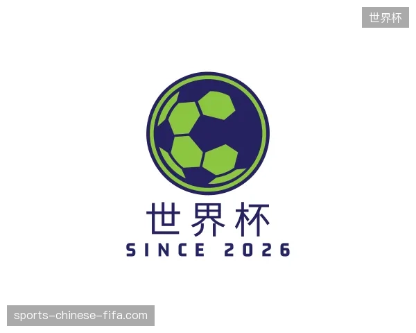 解读世界杯中国官网